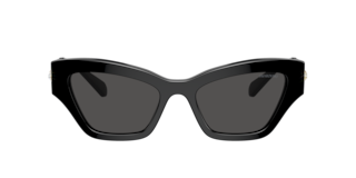 Swarovski SK6021 Sunglasses | LensCrafters