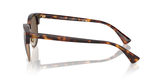 Polo Ralph Lauren Man Shiny Brown Tortoise