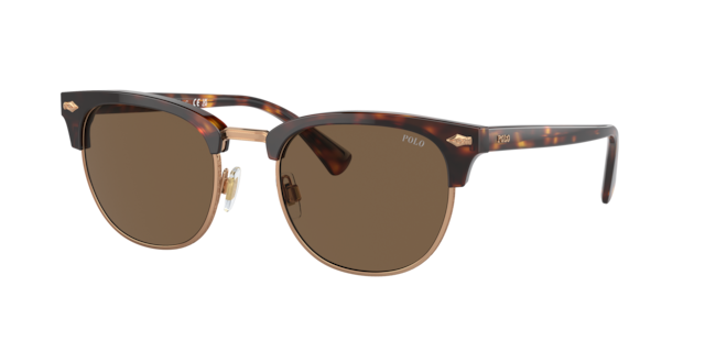 Polo Ralph Lauren Man Shiny Brown Tortoise