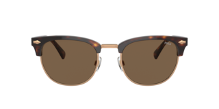 Polo Ralph Lauren PH4217 Sunglasses | LensCrafters