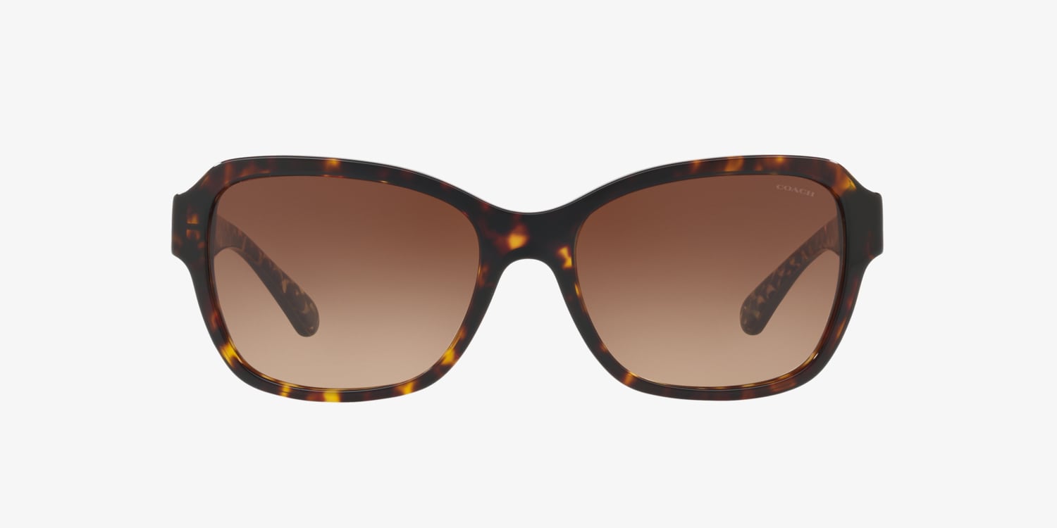 Coach HC8232 L1010 Sunglasses | LensCrafters