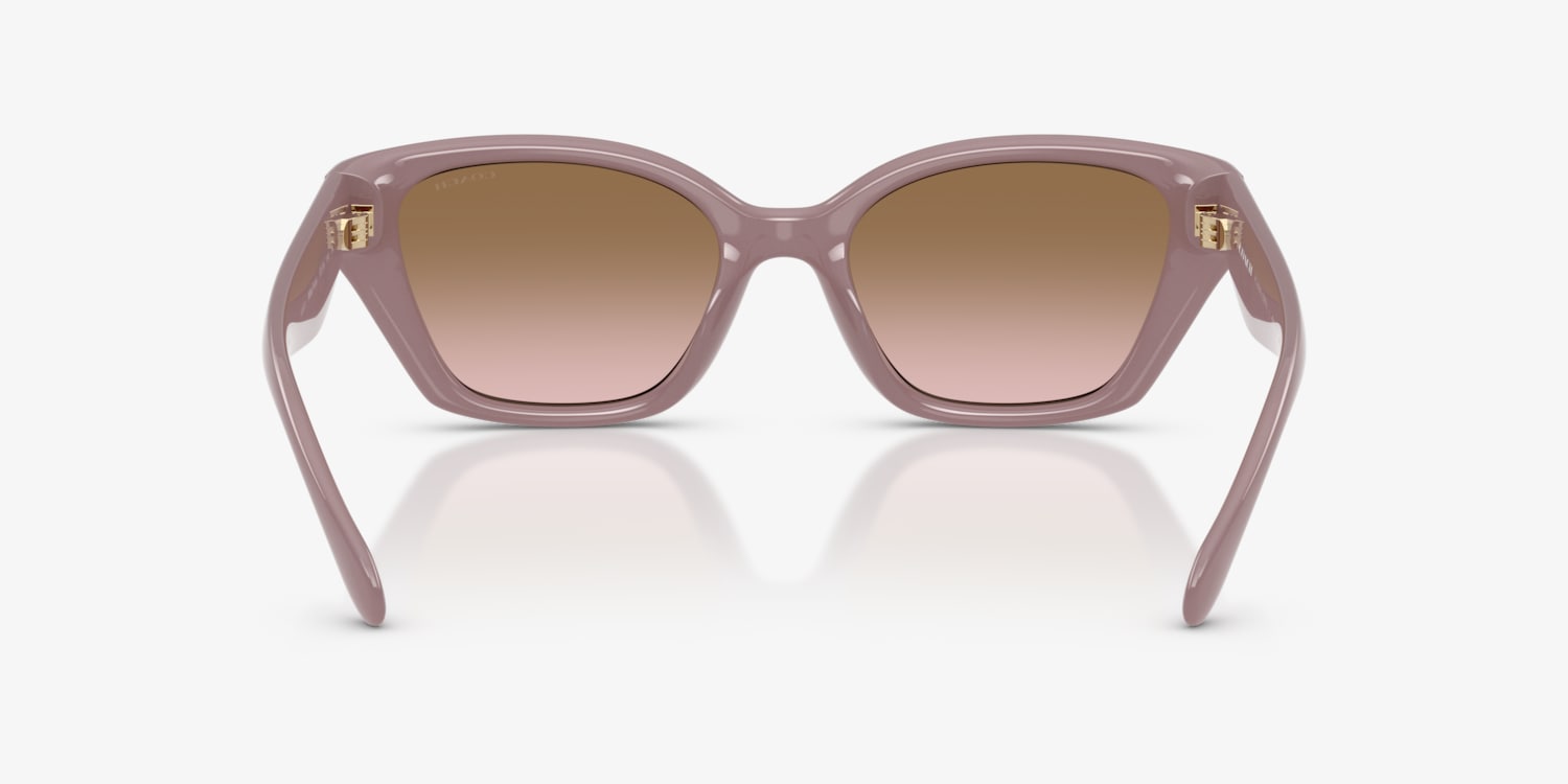 Coach HC8434U CBY91 Sunglasses | LensCrafters