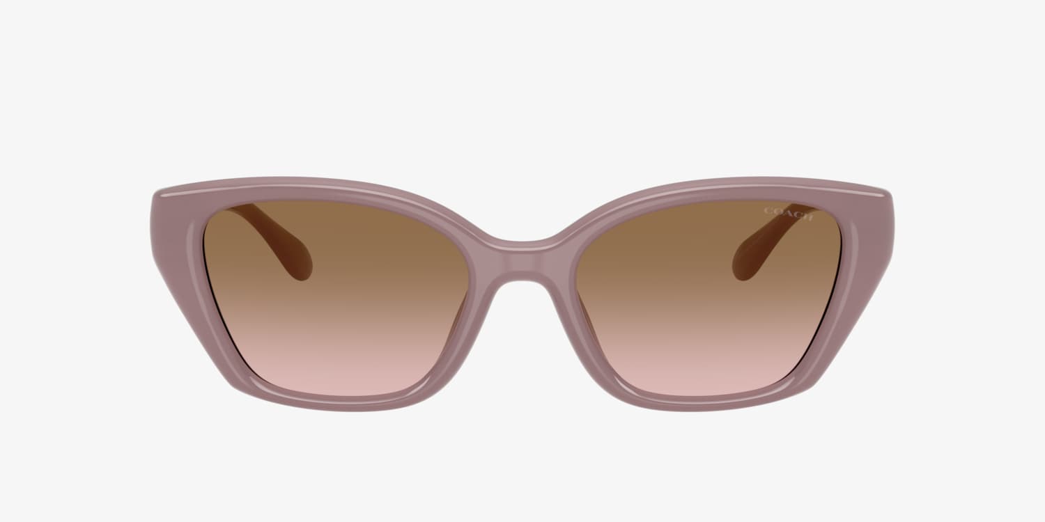 Coach HC8434U CBY91 Sunglasses | LensCrafters
