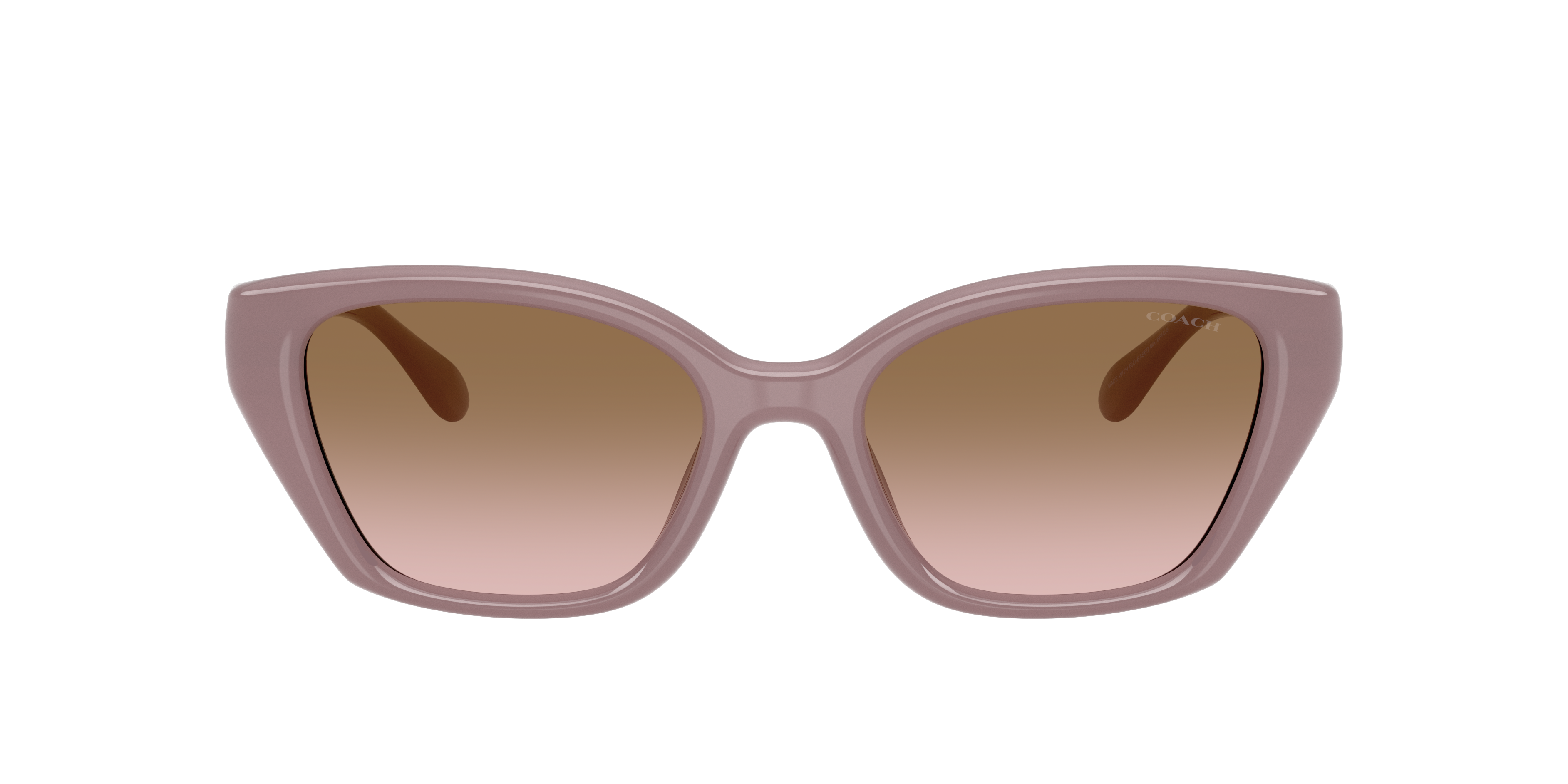 サングラス COACH COACH COACH sunglasses