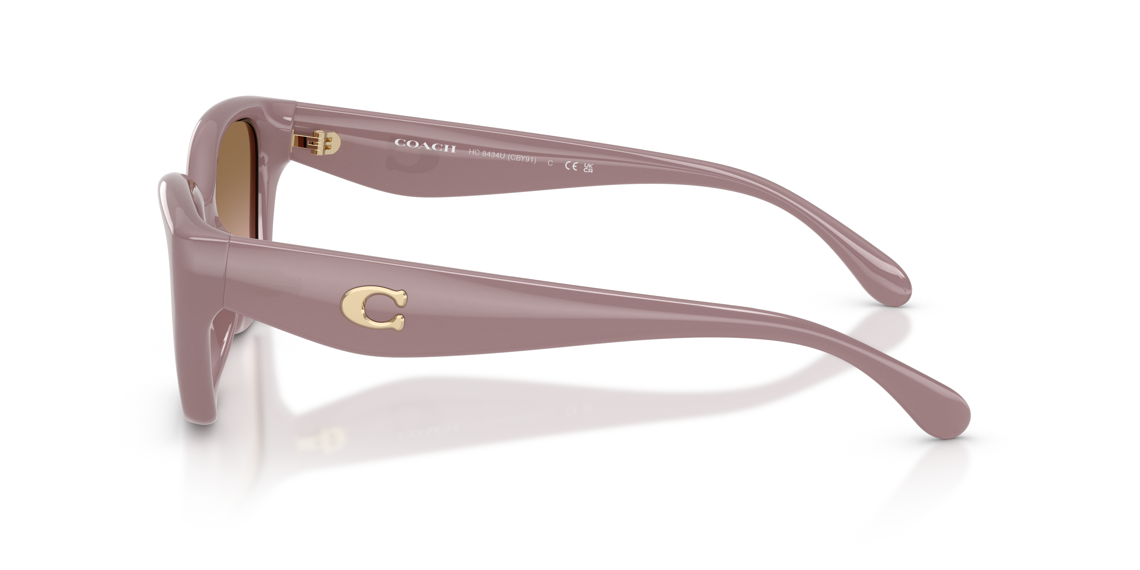 Coach HC8434U CBY91 Sunglasses LensCrafters