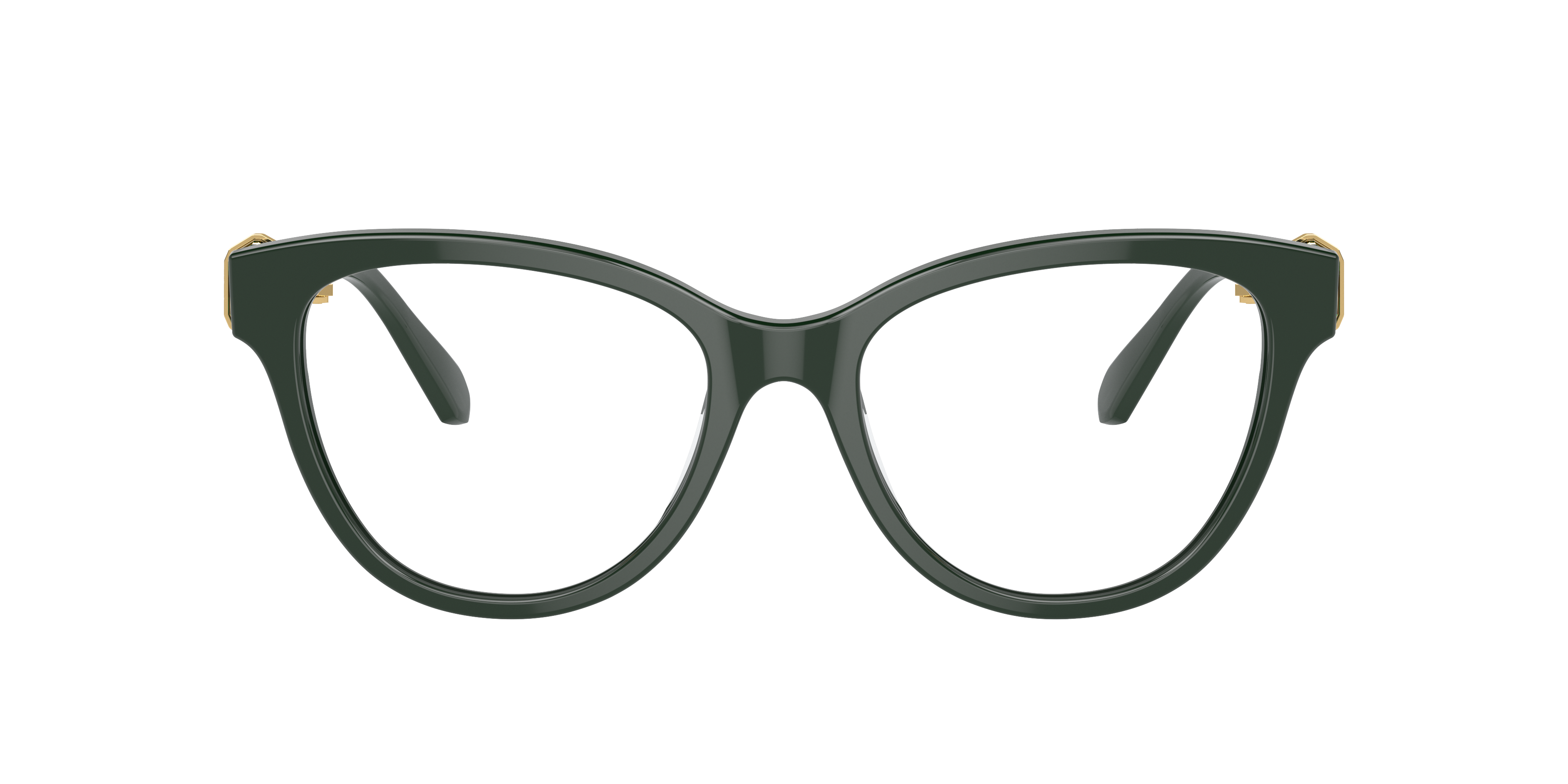 Swarovski SK2004 Eyeglasses | LensCrafters