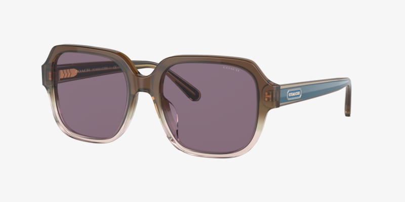 Coach HC8116 L087 Blair Sunglasses | LensCrafters