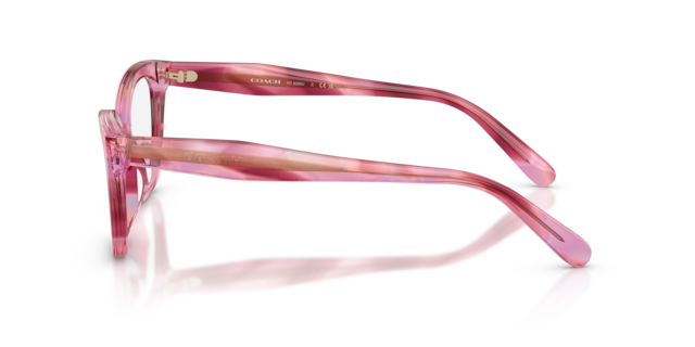 Coach Woman Tortoise