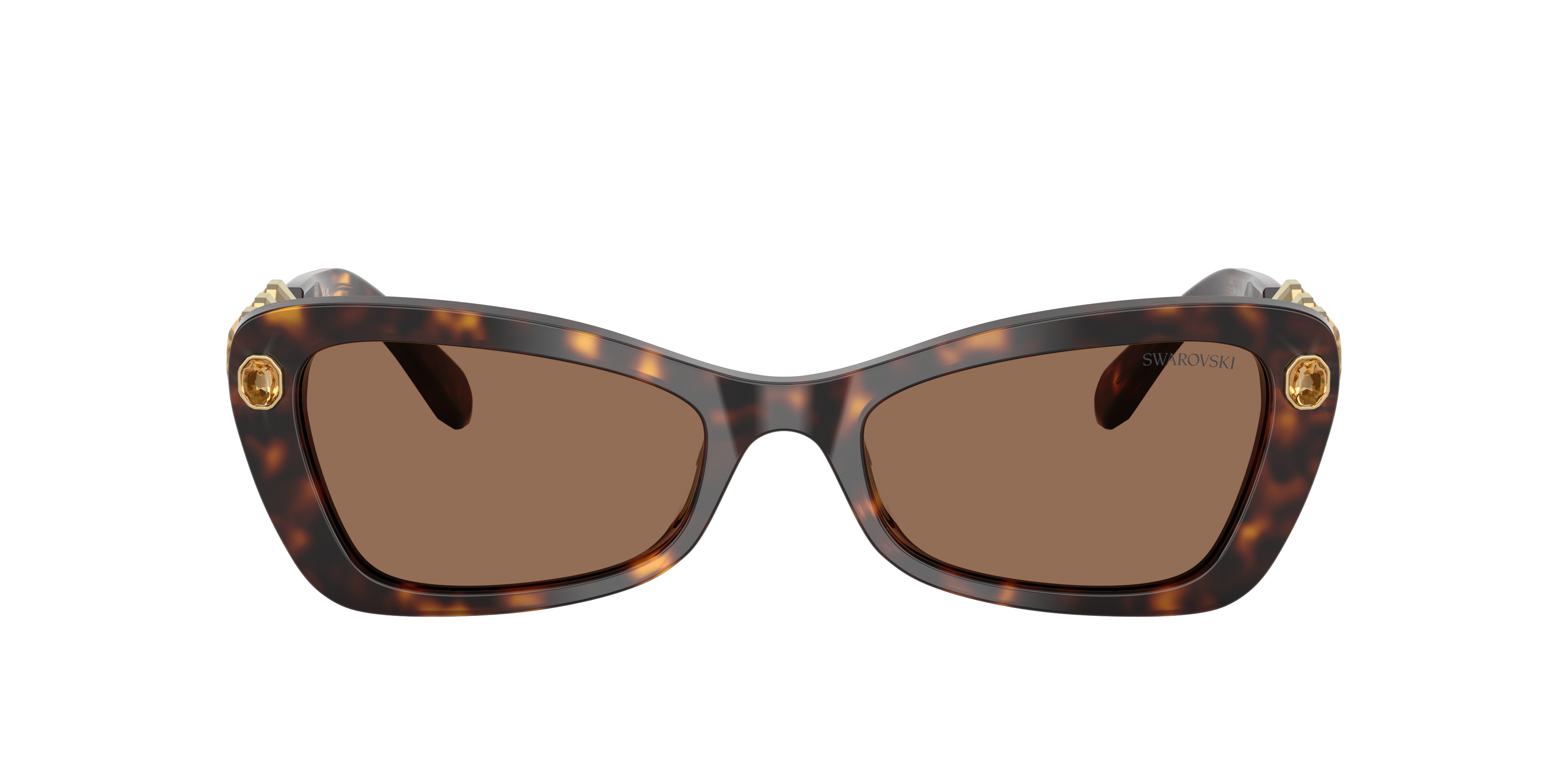 Swarovski SK6033 Sunglasses | LensCrafters