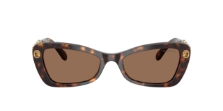 Swarovski SK6033 Sunglasses | LensCrafters