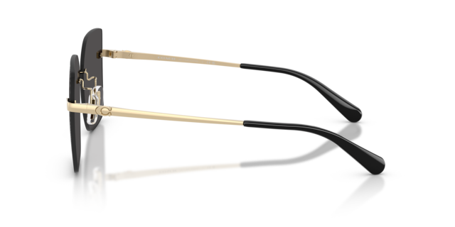 Coach Woman Shiny Gold