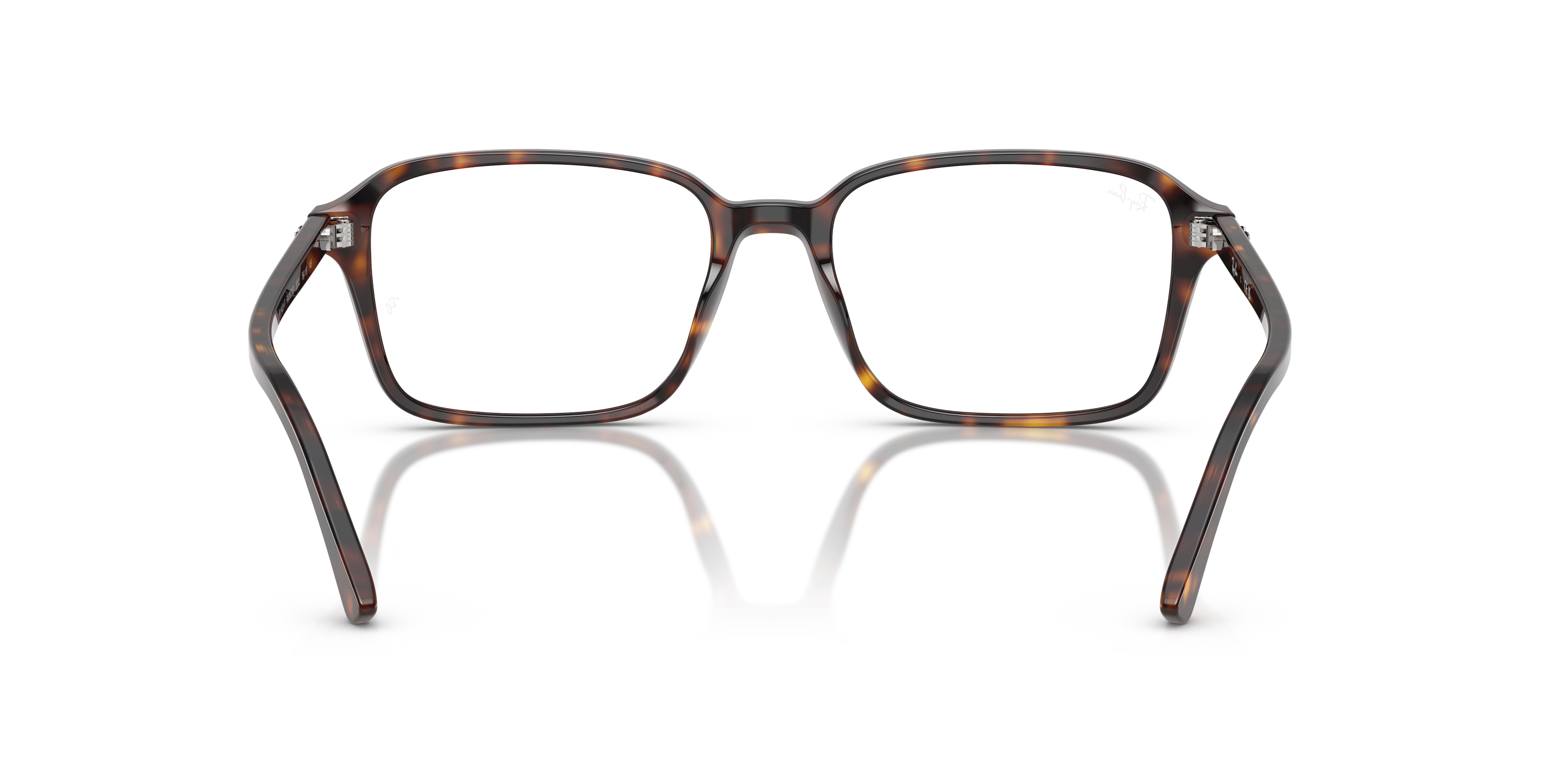 RB5431F Raimond Optics