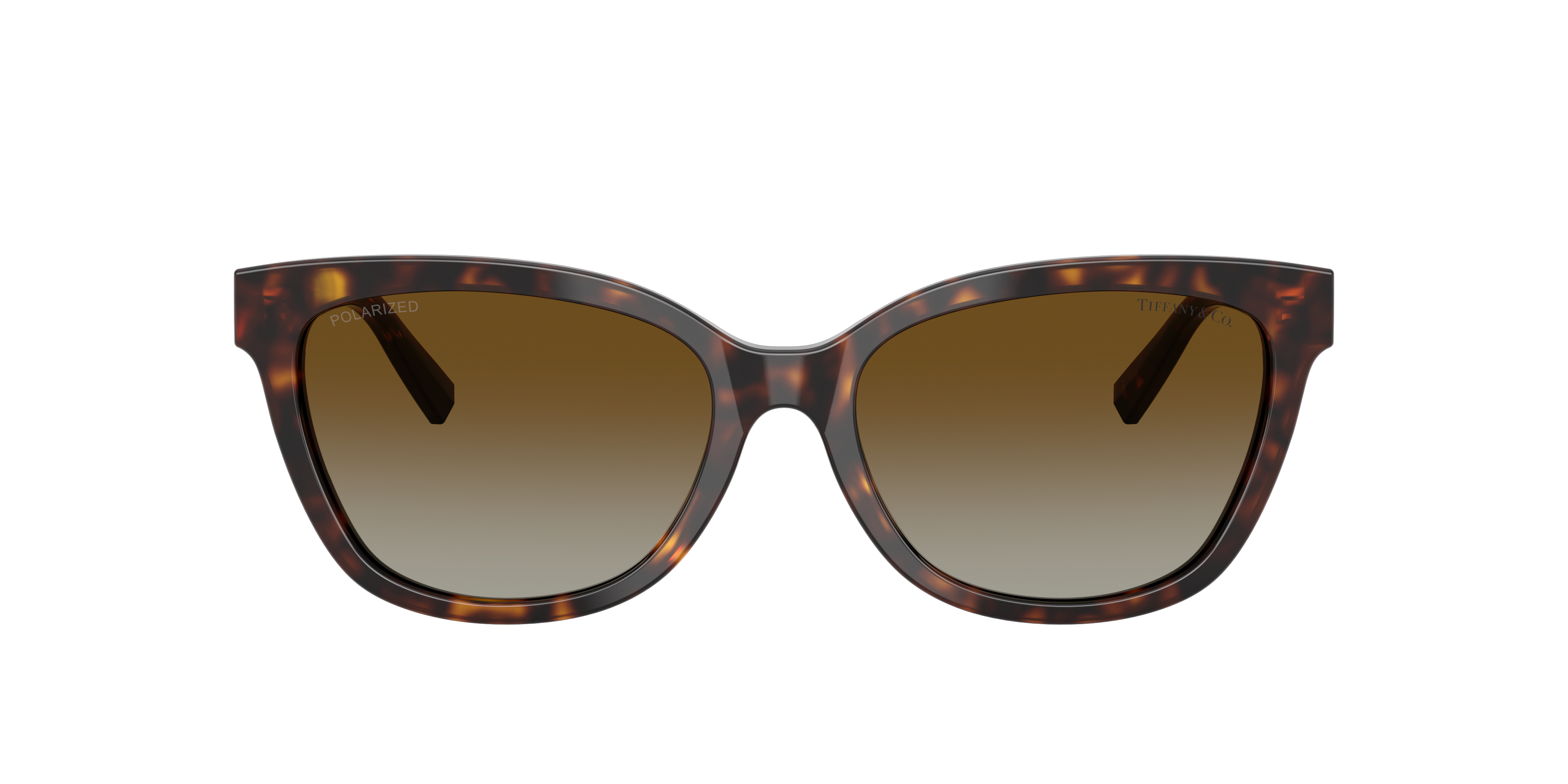 Tiffany TF4237B Sunglasses | LensCrafters