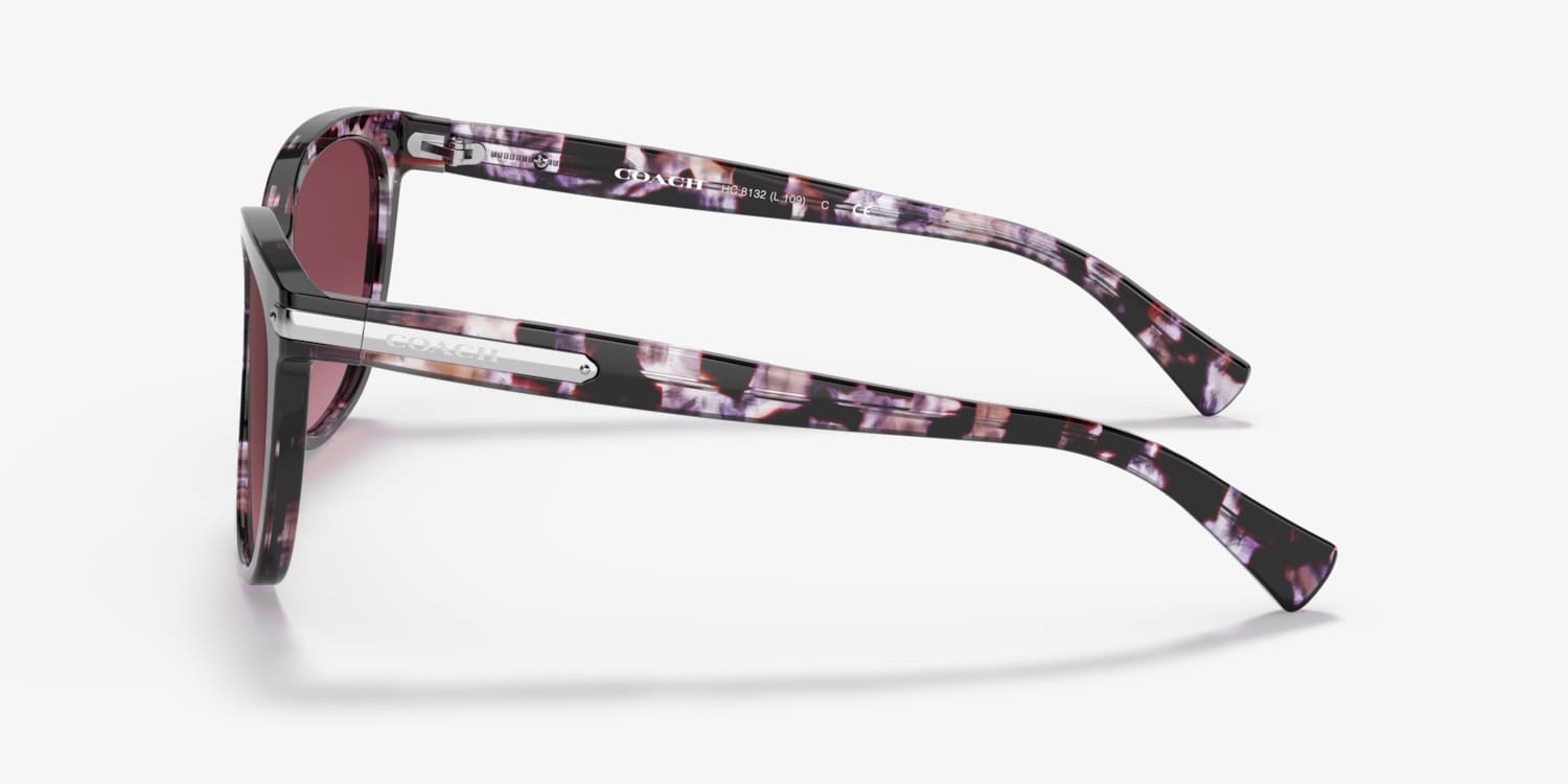 Coach HC8132 L109 Sunglasses | LensCrafters display picture 1