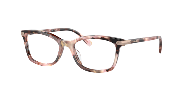 Coach Woman Tortoise