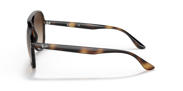 Ray-Ban Unisex Havana