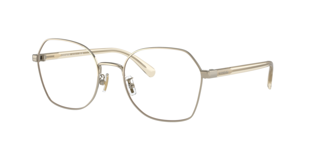 Coach Woman Shiny