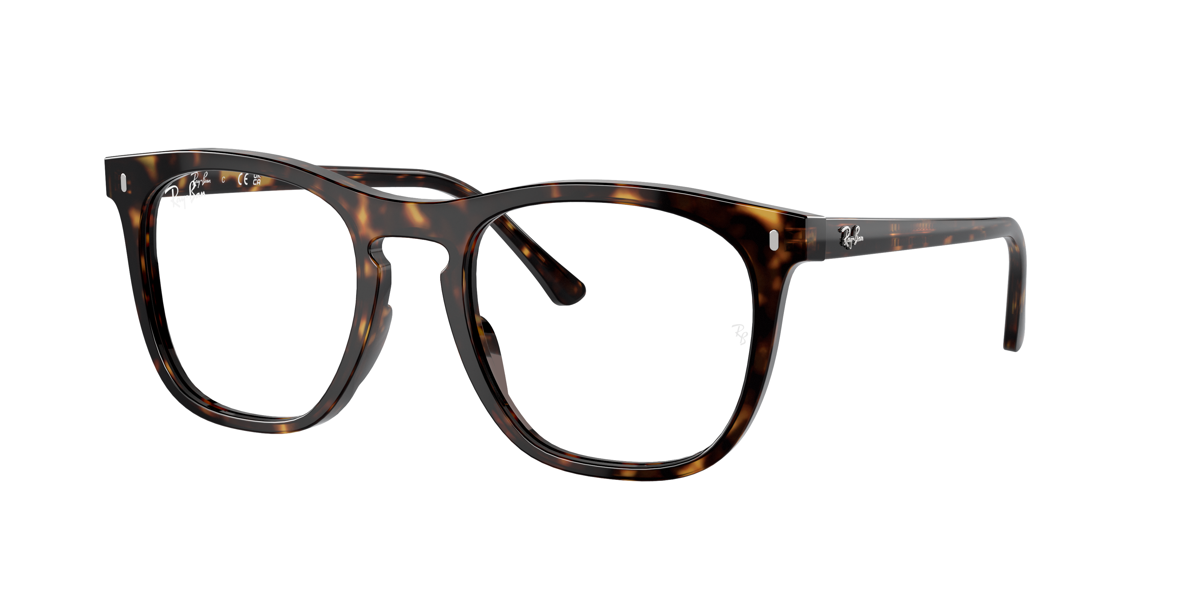 Ray-Ban, RB2210V Optics