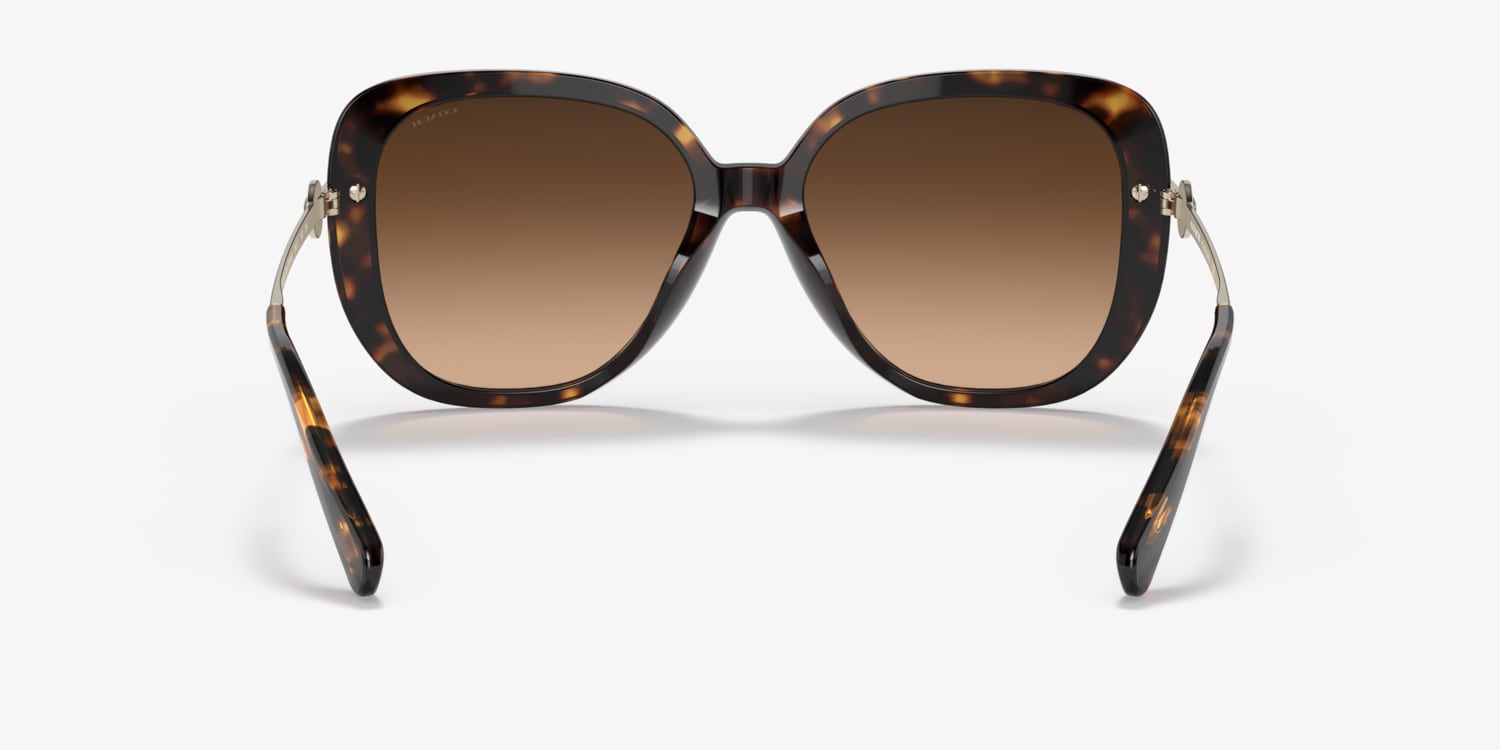 Coach HC8320 C6180 Sunglasses | LensCrafters
