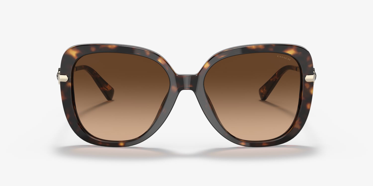 Coach HC8320 C6180 Sunglasses | LensCrafters