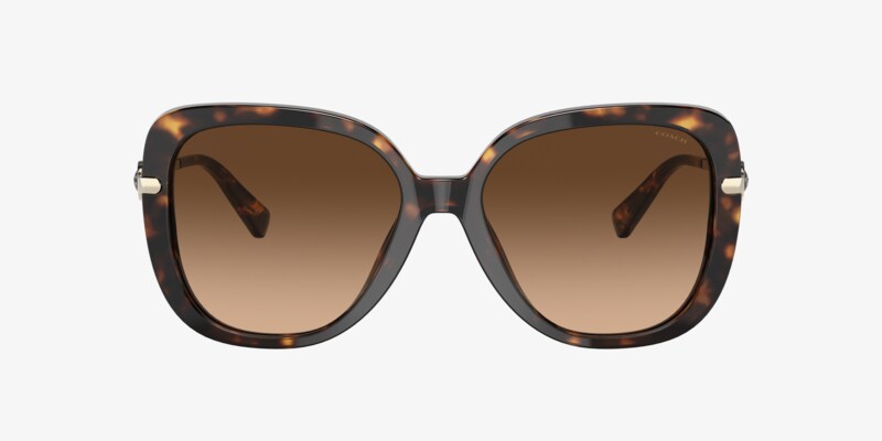 Coach HC8335 Oversized Sunglasses Transparent Brown Gradient w/ Case Coach HC8335U C7989 Sunglasses | LensCrafters main image 3