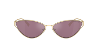 Tiffany TF3095 Sunglasses | LensCrafters