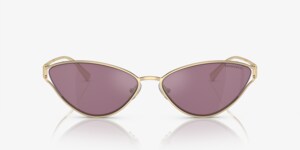 Tiffany TF3095 Sunglasses | LensCrafters display picture 3
