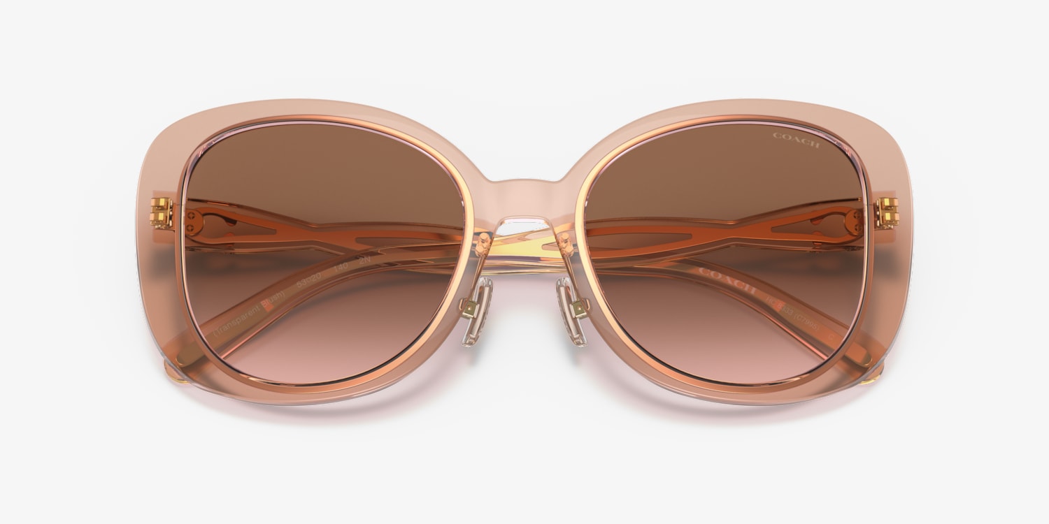 Coach HC8333 C7995 Sunglasses | LensCrafters