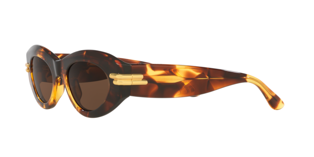 Bottega Veneta Woman Tortoise