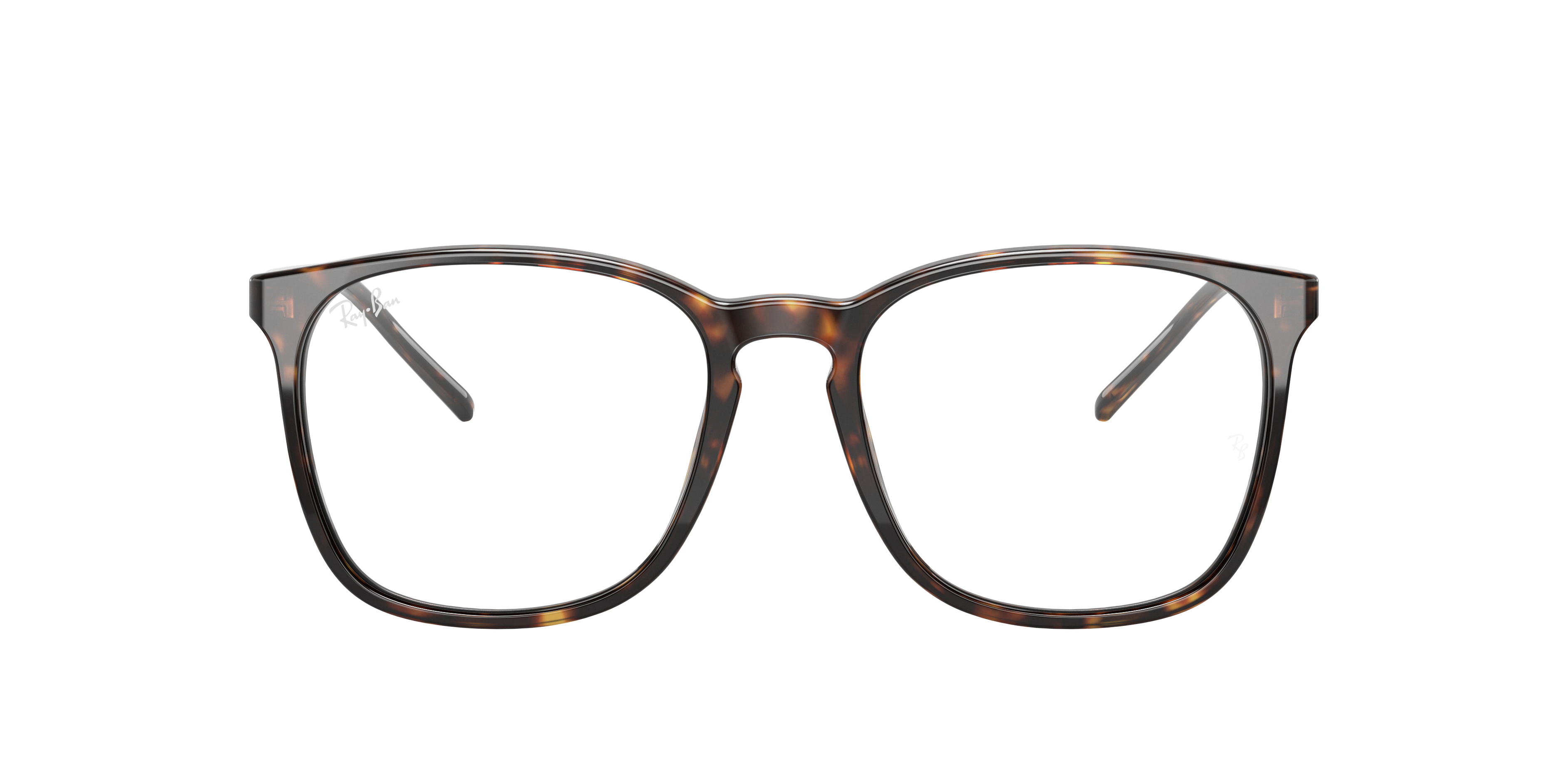 Ray-Ban, RB5387 Optics