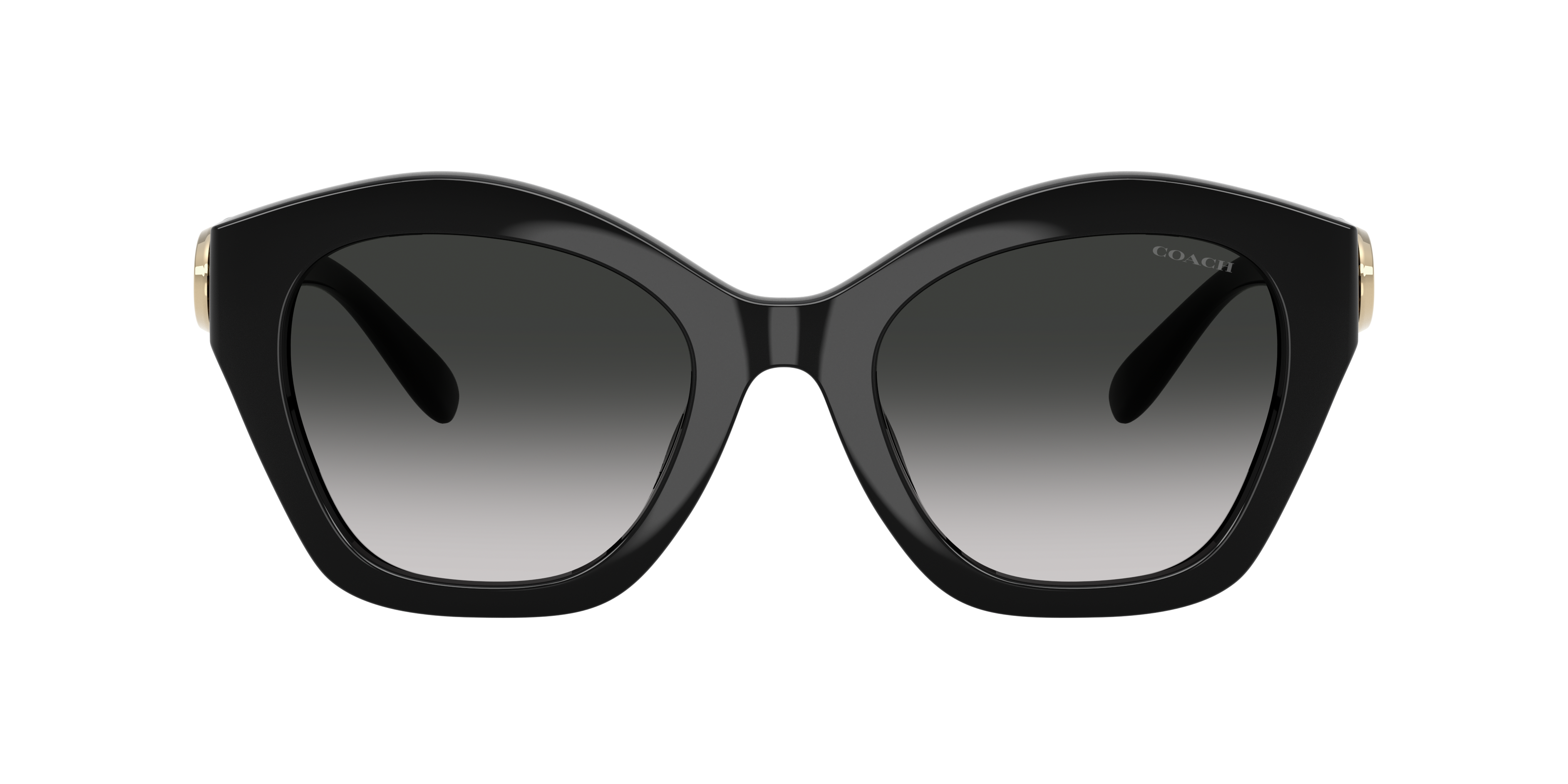 Coach HC8421U CAD31 Sunglasses | LensCrafters