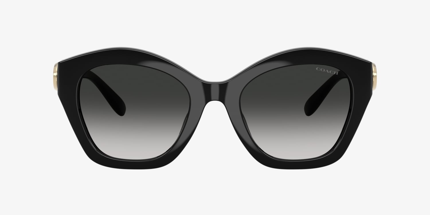 Coach HC8421U CAD31 Sunglasses | LensCrafters