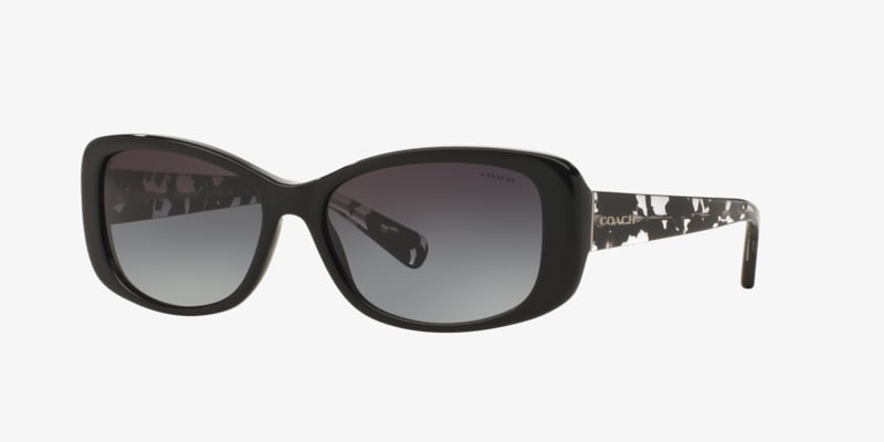 Coach HC8292 L1144 Sunglasses | LensCrafters