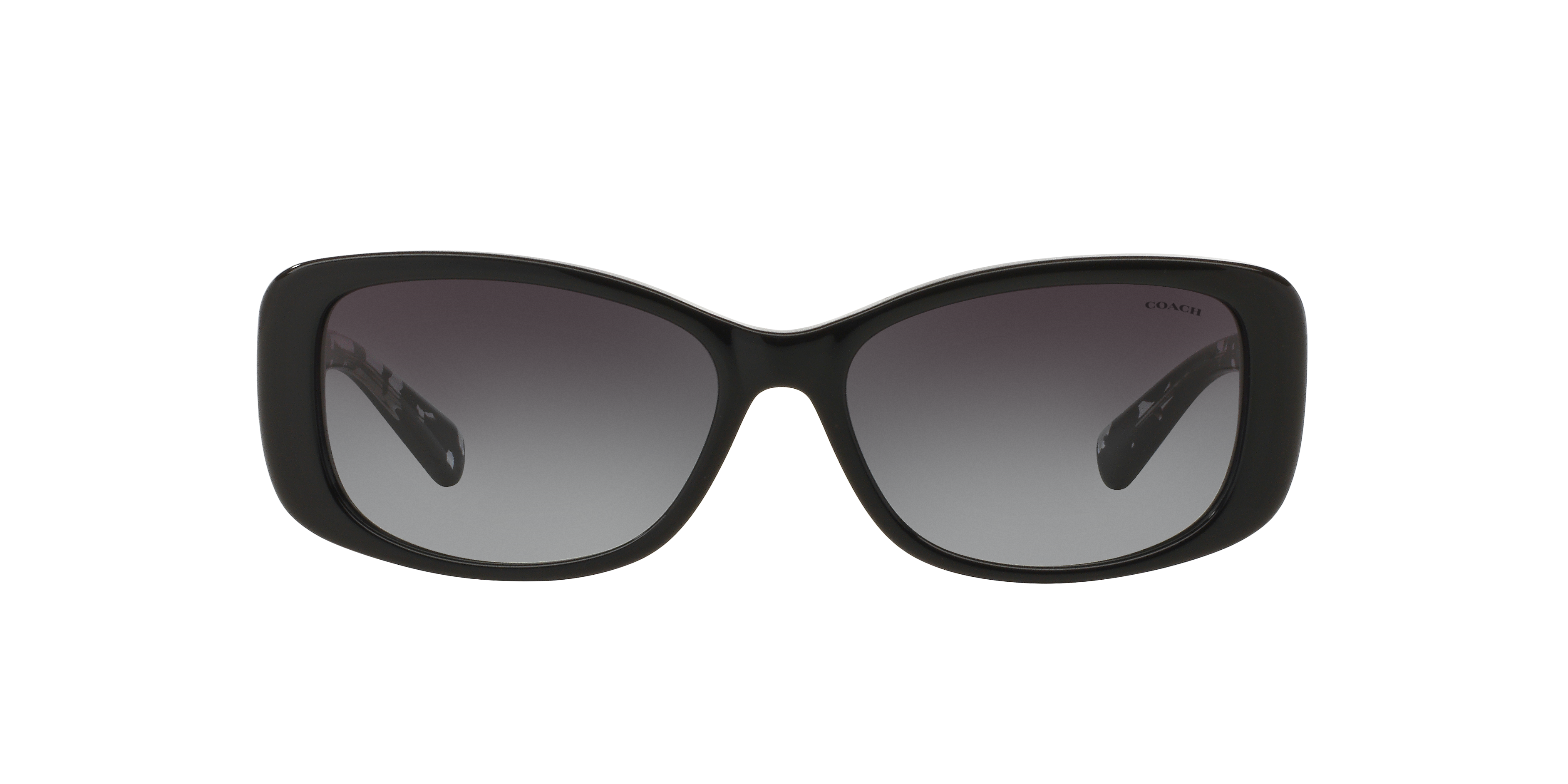 Coach HC8168 L156 Sunglasses | LensCrafters