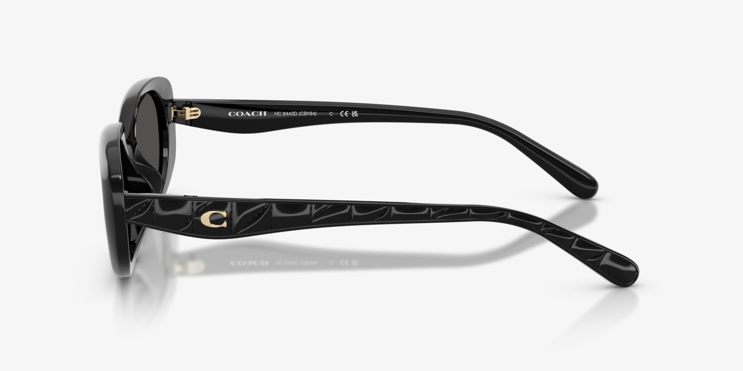 Coach HC8443D CBY84 Sunglasses | LensCrafters