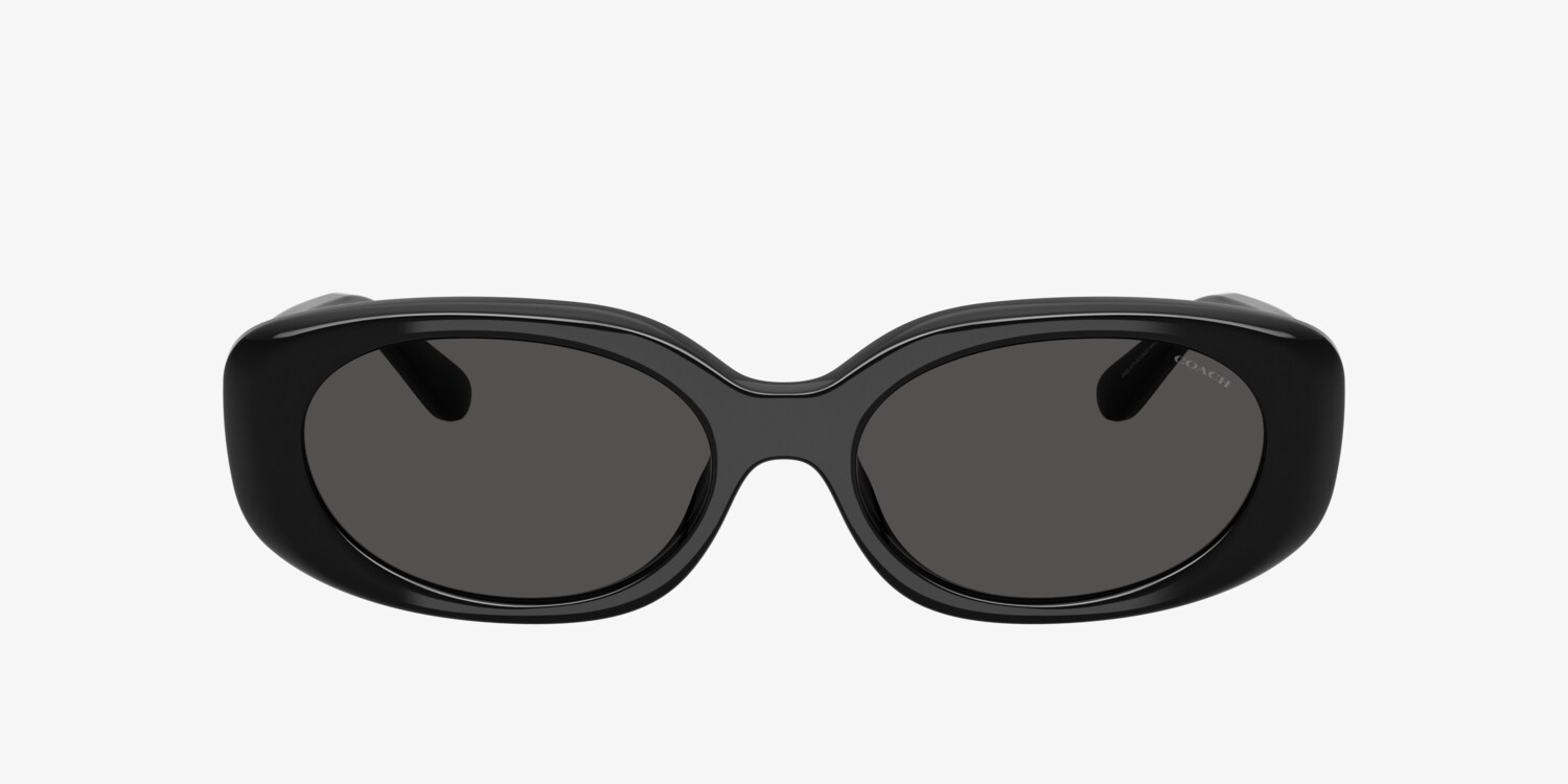 Coach HC8443D CBY84 Sunglasses | LensCrafters