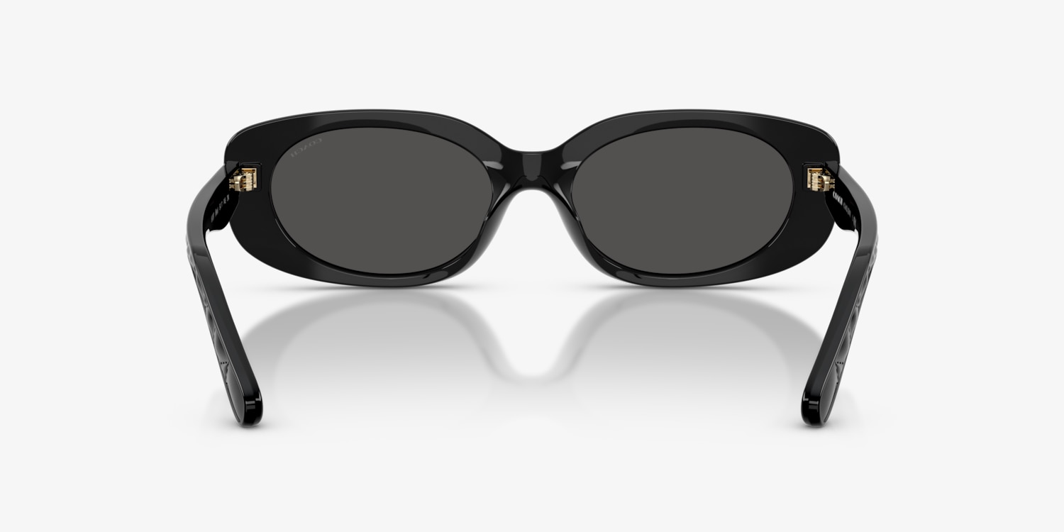 Coach HC8443D CBY84 Sunglasses | LensCrafters