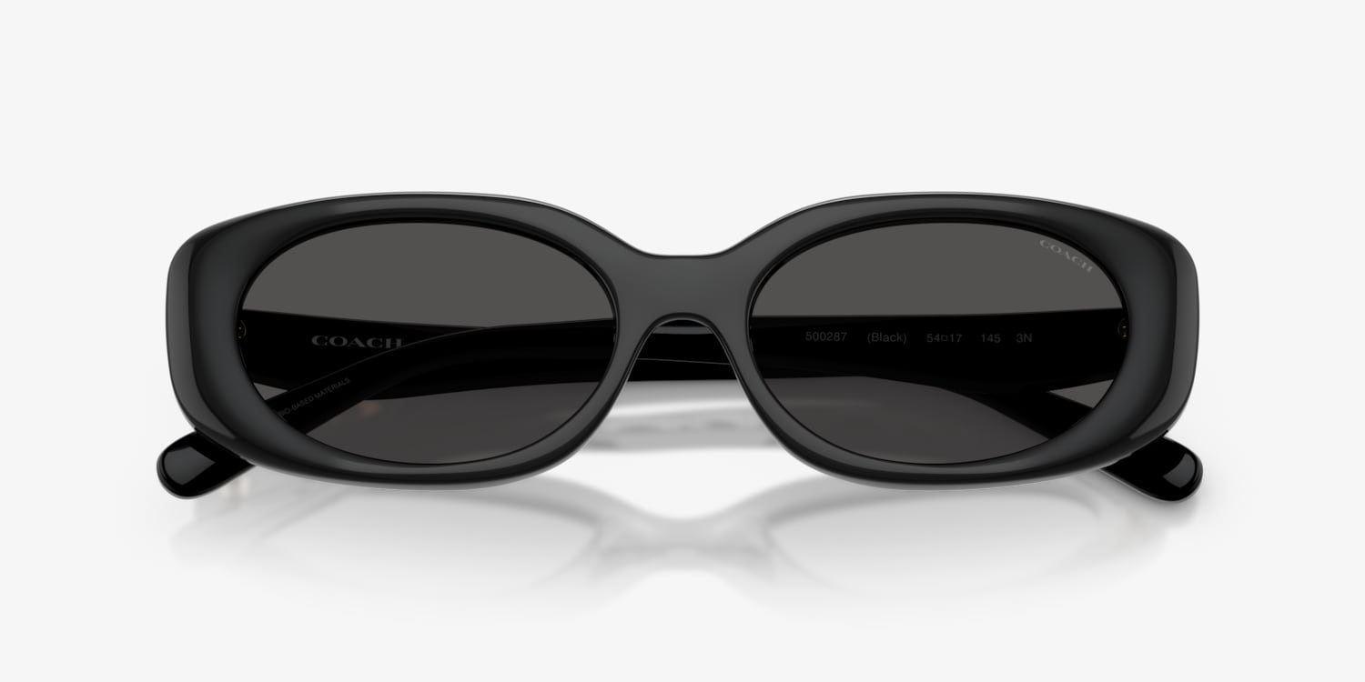 Coach HC8443D CBY84 Sunglasses | LensCrafters