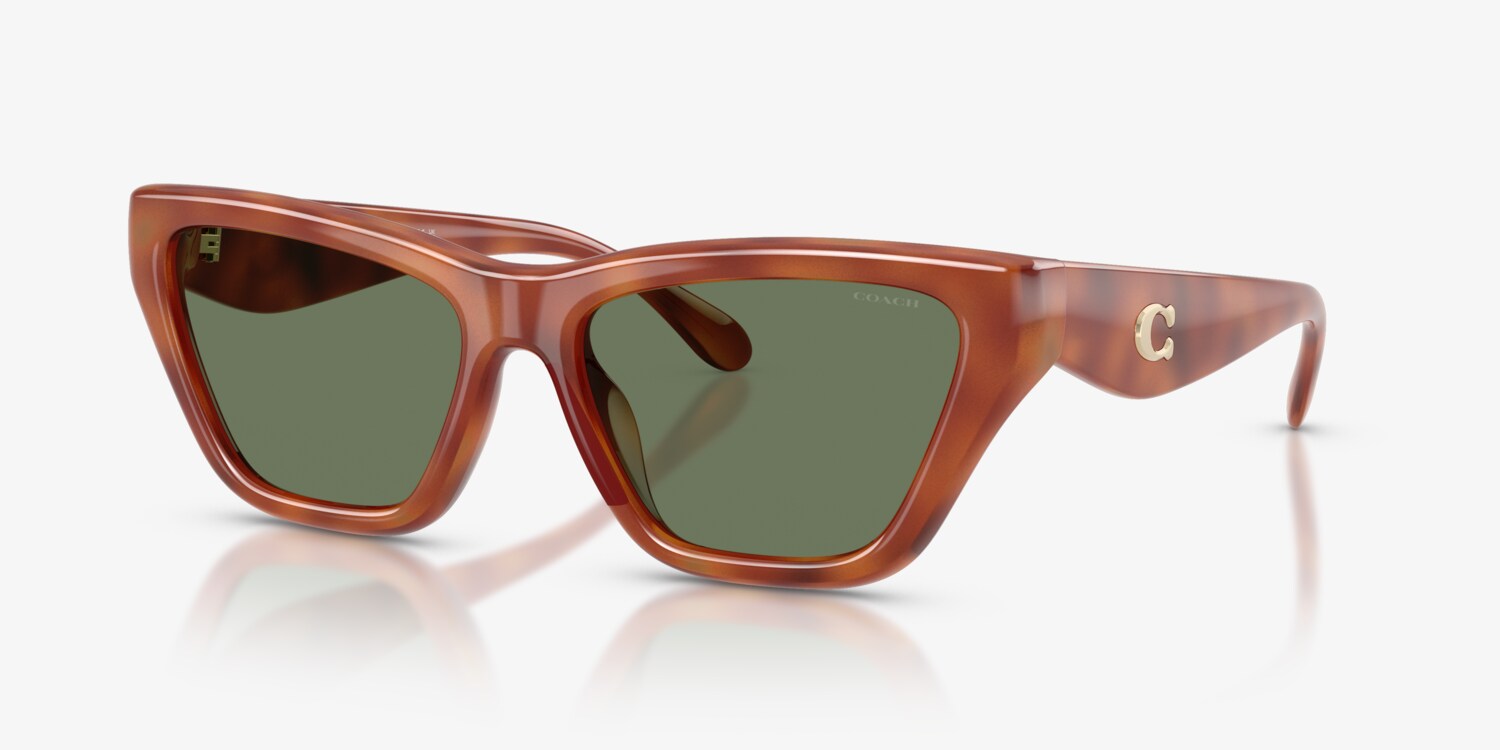 Coach HC8449U CDP33 Sunglasses | LensCrafters