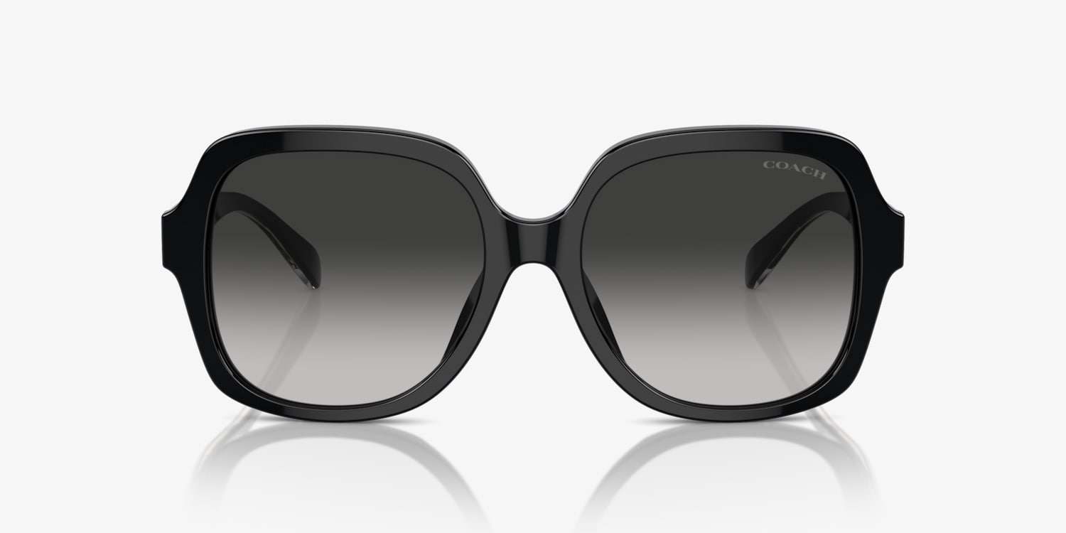 Coach HC8395U CR614 Sunglasses | LensCrafters