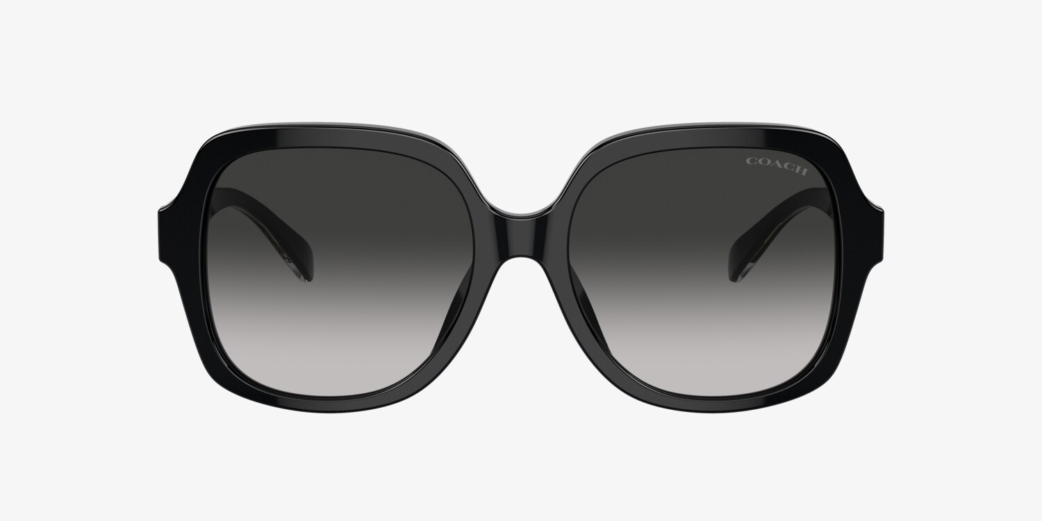 Coach HC8395U CR614 Sunglasses | LensCrafters display picture 1
