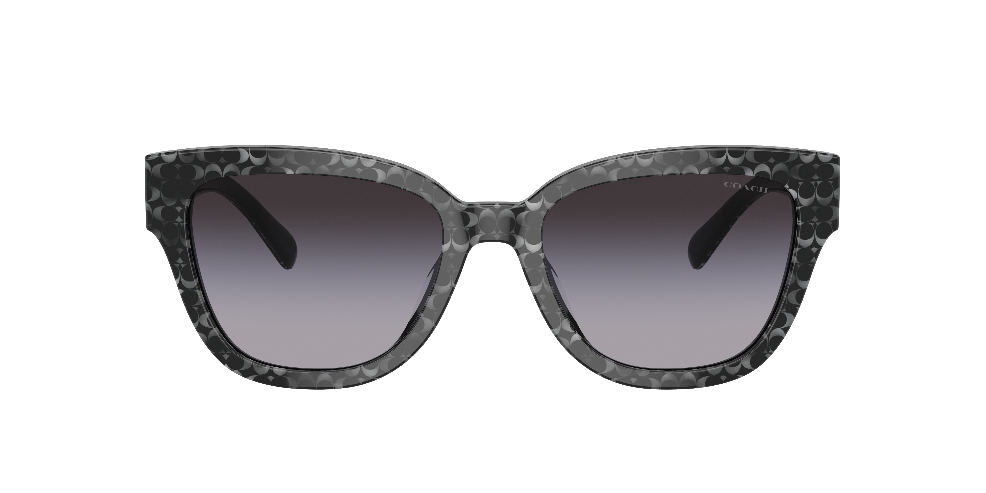 Coach HC8379U CL920 Sunglasses | LensCrafters