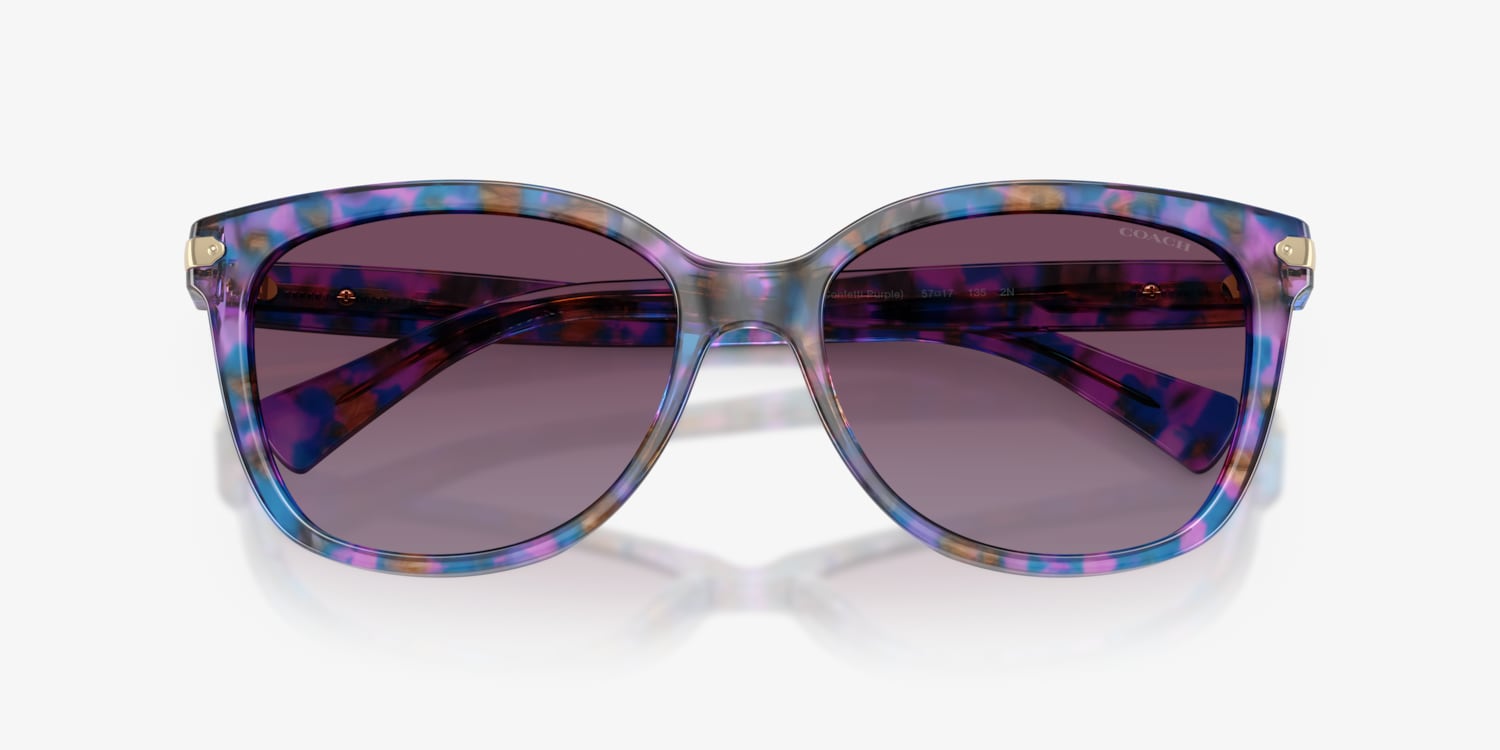 Coach HC8132 L109 Sunglasses | LensCrafters