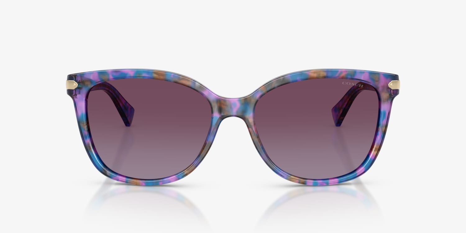 Coach HC8132 L109 Sunglasses | LensCrafters
