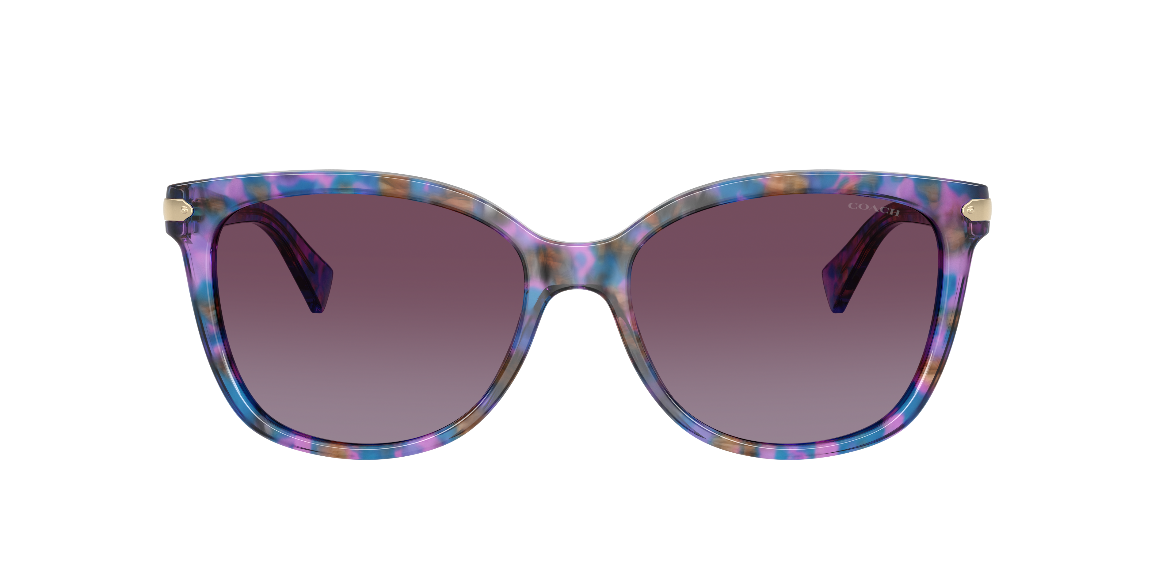 K.S 正規品 COACH コーチ ウェリントン パープル サングラス Coach HC8132 L109 Sunglasses | LensCrafters