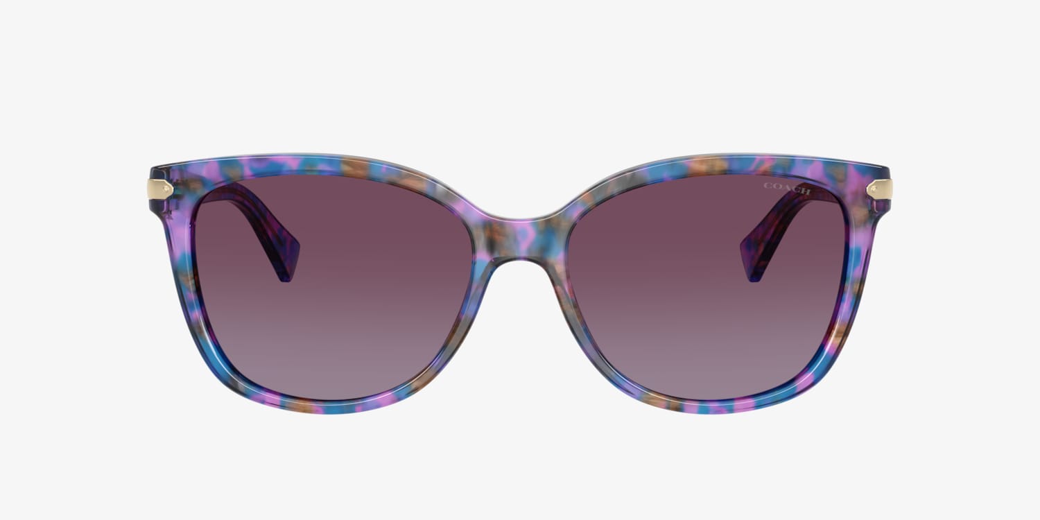 Coach HC8132 L109 Sunglasses | LensCrafters