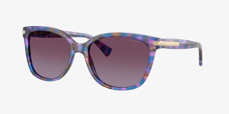 Coach HC7170 CW185 Sunglasses | LensCrafters display picture 2