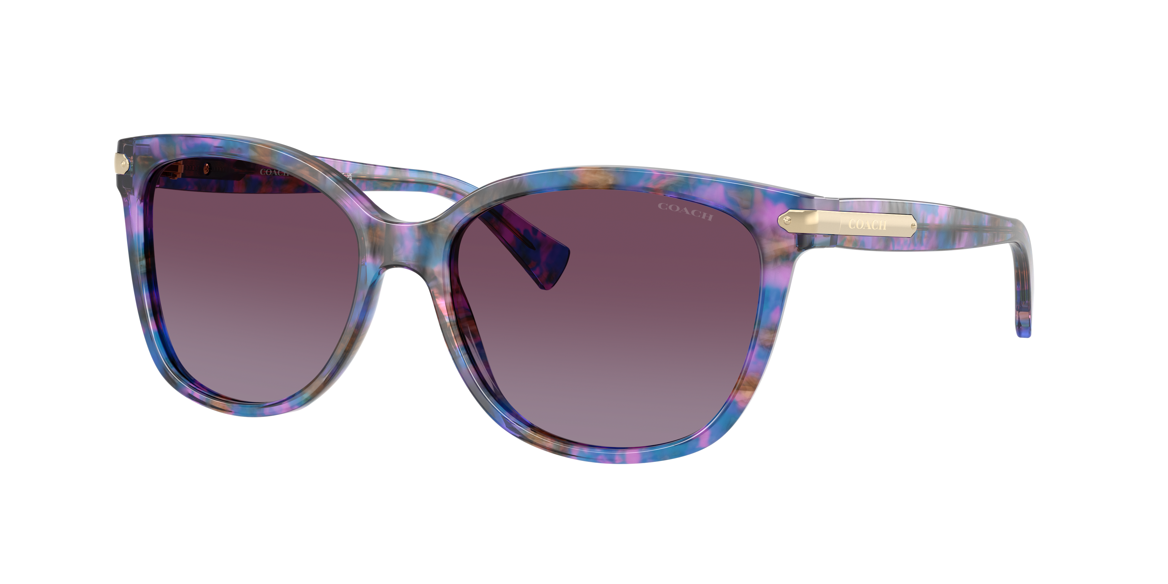 Coach HC8132 L109 Sunglasses | LensCrafters