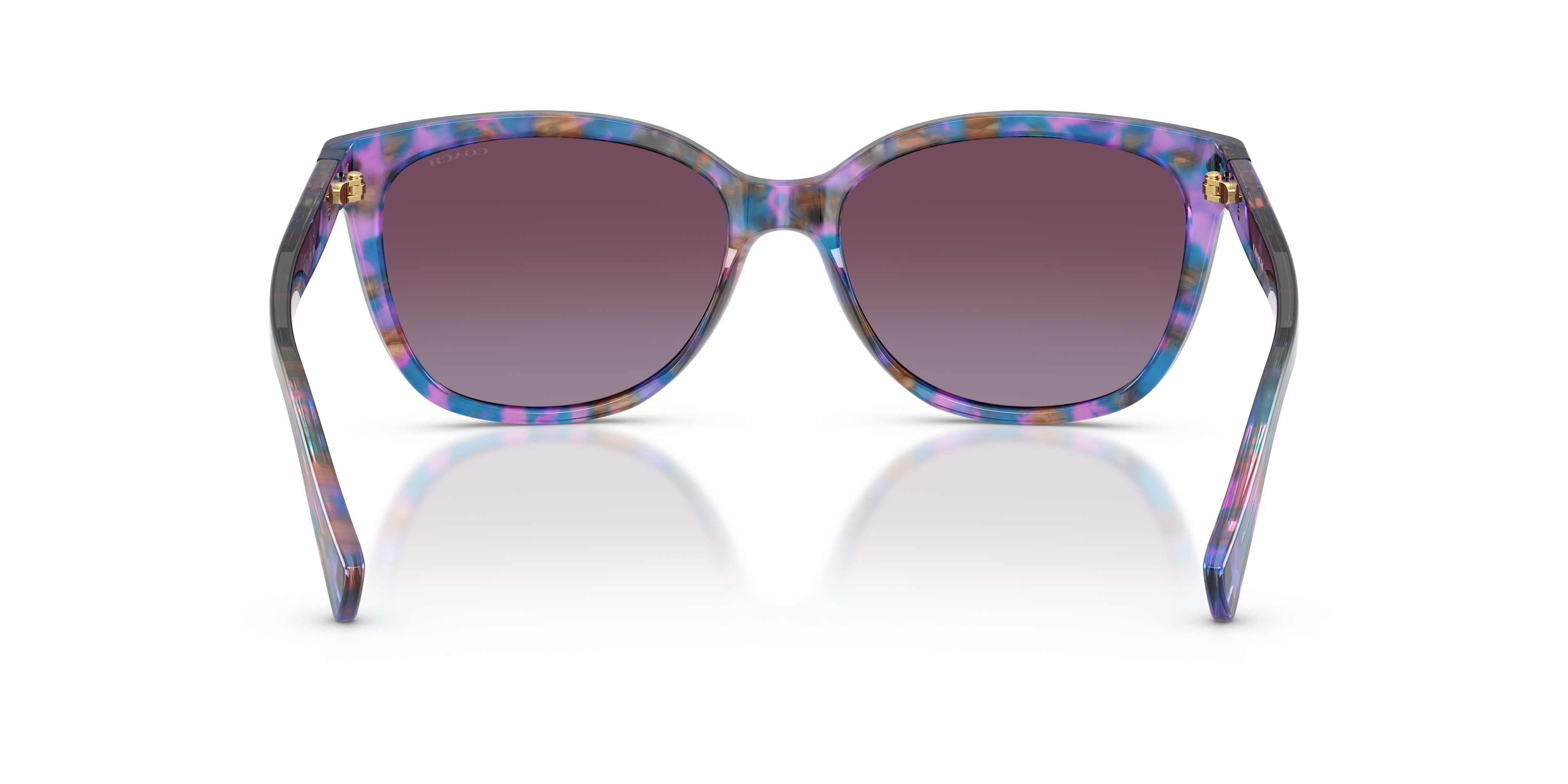 コーチ COACH サングラス HC8361F 57387W 57 ボストン ウェリントン