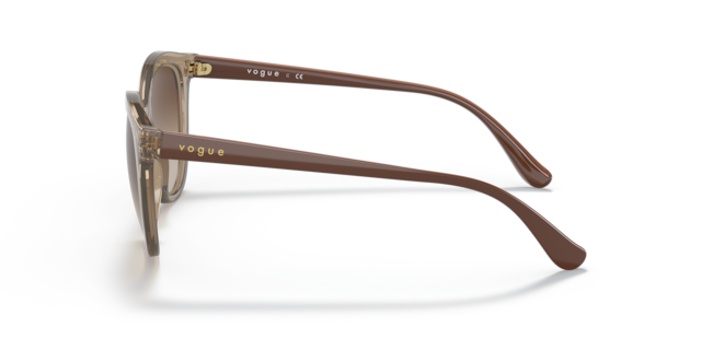 Vogue Woman Transparent Brown
